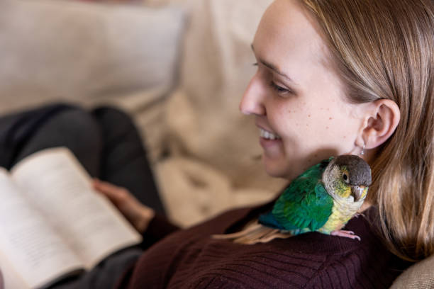 istock Green Cheek Conure and Young Woman 2135764859