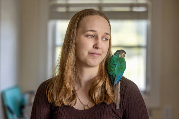 istock Green Cheek Conure and Young Woman 2135765399