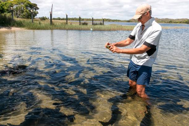 istock Man taking pictures of river fish 2135766984