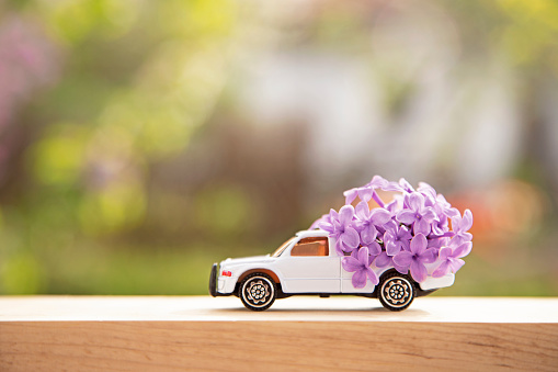 Toy car delivering flowers