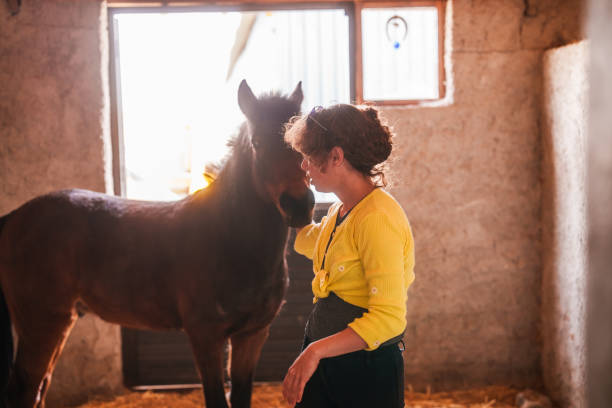 istock Horse Keeper with horse in the stable. 2135820340