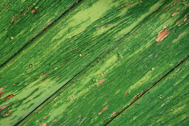 Old wooden surface with small areas of green paint. Background