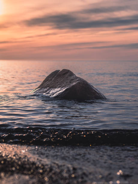 istock Solitary Serenity: Sunset Reflections at Veczemju Klintis 2135833794