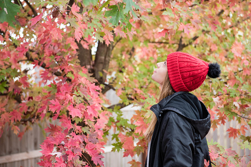 Young woman wearing a beanie hat looking up at the fall leaves of a tree during autumn