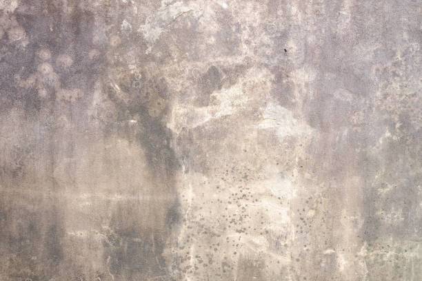 istock Blank white grunge concrete wall texture background, banner, interior design 2135850230