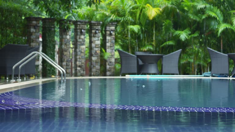 Water surrounded by trees and chairs in a natural landscape