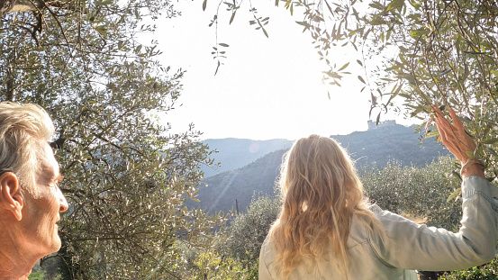 Mature couple explore olive grove together