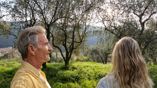 Mature couple explore olive grove together