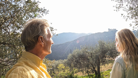 Mature couple explore olive grove together