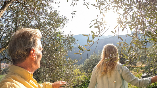 Mature couple explore olive grove together