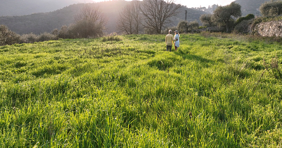 Aerial view of mature couple in lush meadow at sunset