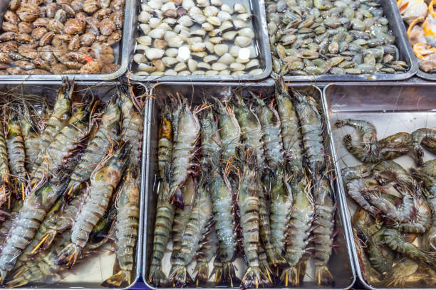 Live tiger prawns and various shellfish at a restaurant in Phu Quoc, Vietnam