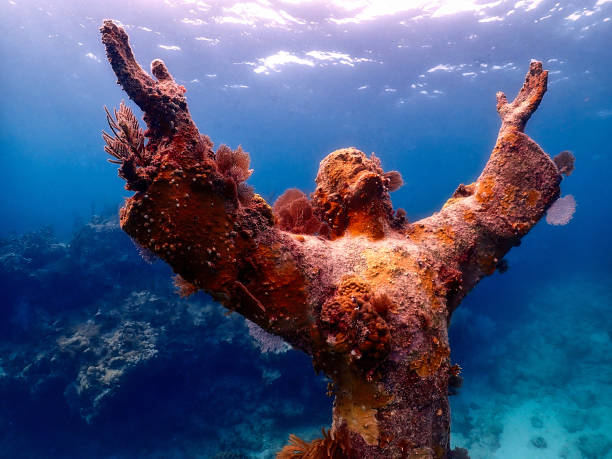 istock Christ of the Abyss 2135894781