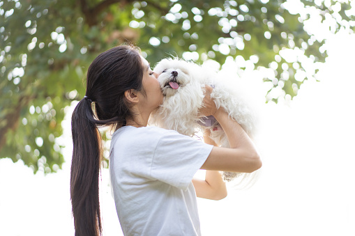 Happy Asian beautiful young woman walking at the park together with the Maltese Dog in morning. Lovely Asian girl playing and relaxing with her pet. Weekend activities and lifestyles concept.