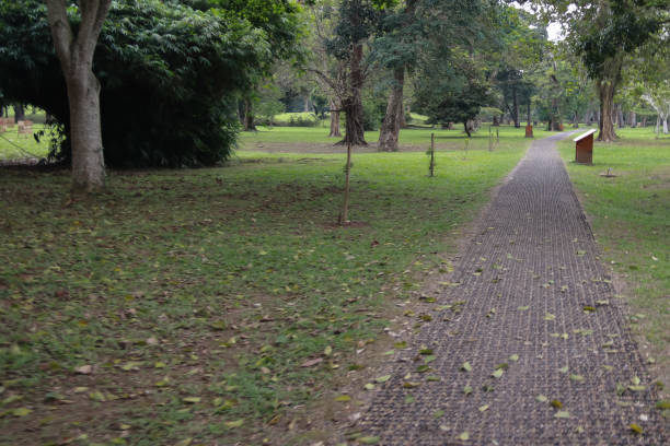 Path for pedestrians in the park