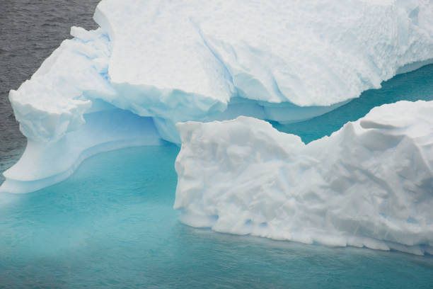 Brash Ice, near Paulet Island, Antarctic Peninsula, Antarctica