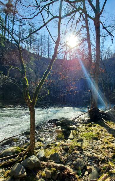 istock By the creek in Gatlinburg 2136011968