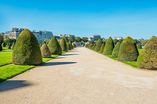 Alley in sunny park with green trimmed bushes in city of Paris