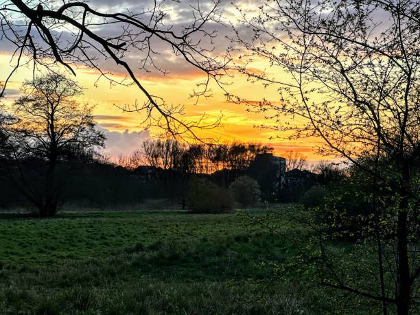istock Sunset in a semi rural area near Berlin 2136049450