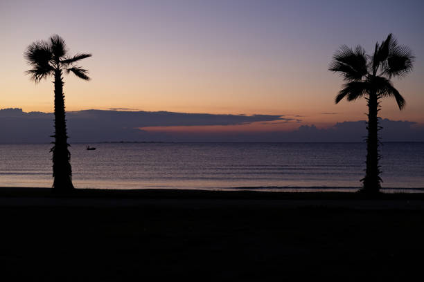 Palm trees frame a tranquil sea under a fading evening sky
