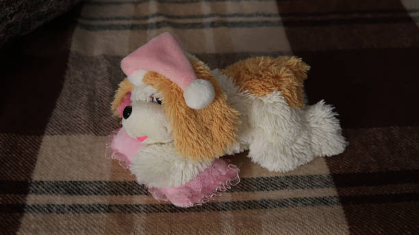 Plush dog in a pink cap.
