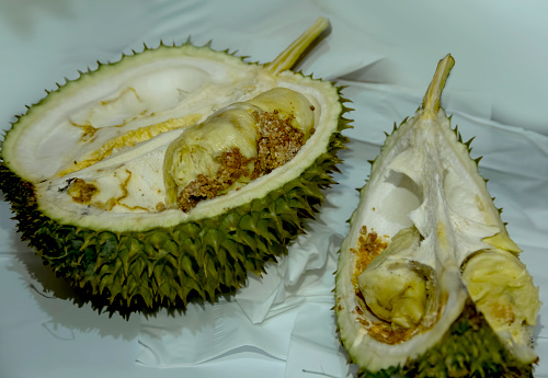 durian or the king of  fruits is damaged