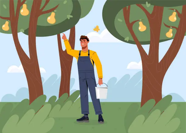 Vector illustration of Farmer pick up pears vector