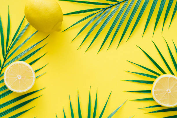 istock Creative trendy summer composition made with lemons and tropical green palm leaves on bright yellow background. Fruit minimal concept. Exotic nature flat lay. 2136150824
