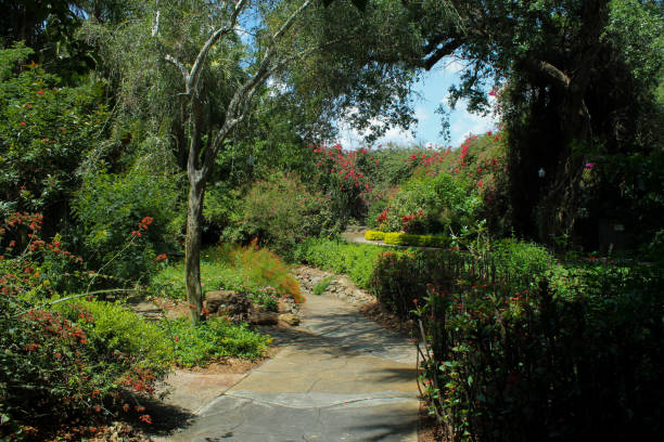 istock Florida Sunken Botanical Garden 2136158108