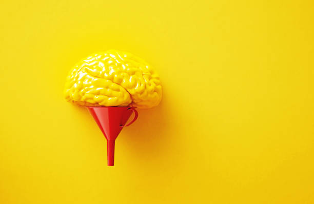 istock Red Funnel And Yellow Brain Object On Yellow Background 2136182616