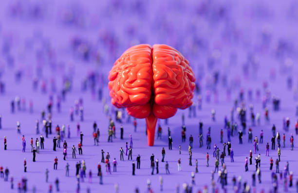 Colorful arrangement of brain and various organ models on blue background. Stylized hands symbolize organs interaction and connectivity.
