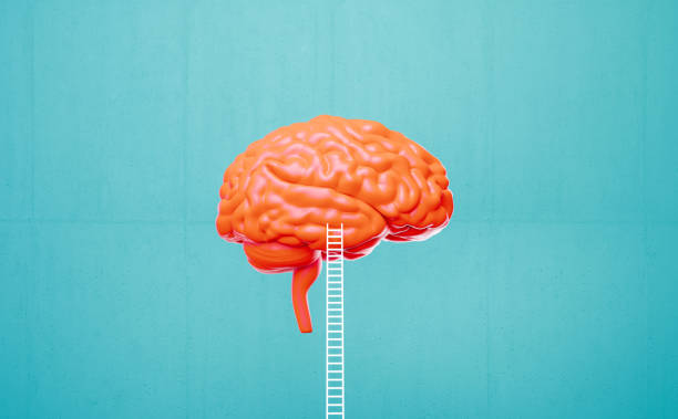 istock White Ladder Leaning Onto A Coral Colored Brain Object Before Blue Background 2136194614