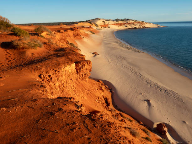 istock Red sand dunes an d beach at sunset 2136253374