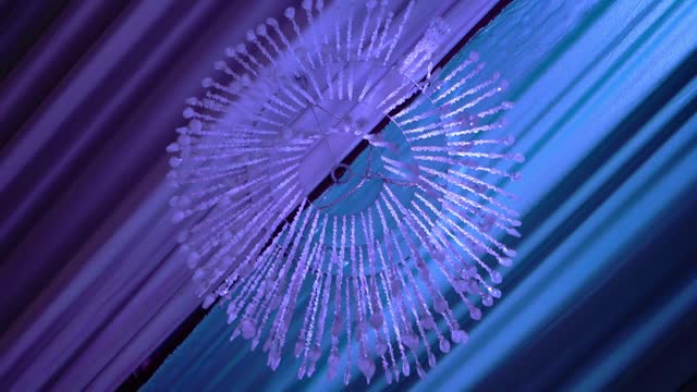 Elegant blue purple crystal chandelier decor for wedding, long strands from ceiling