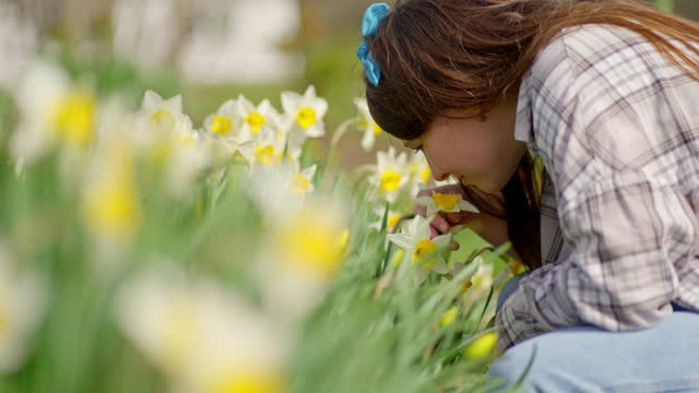 SLO MO Happy Young Woman Smelling Daffodil with Yellow Bloom in Spring Garden
