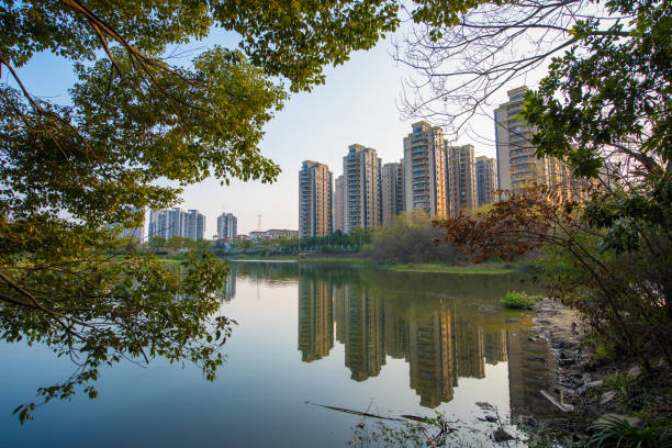 The buildings and trees by the lake.