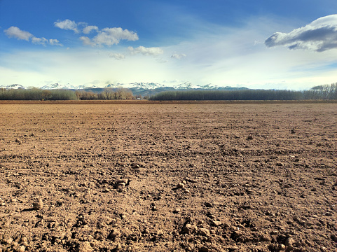 Recently plowed soil, ready to plant potatoes, at the foot of the Andes. Malargue, Mendoza, Argentina.