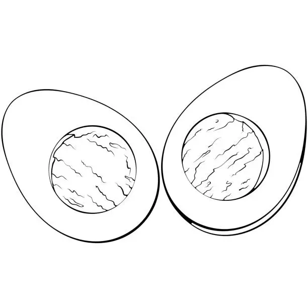 Vector illustration of Half a boiled egg line