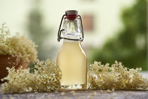 Elder flower syrup in a glass bottle with fresh blossoms outdoors