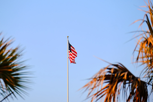 The United States of America flag bracketed by palm tree leaves