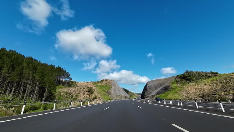 Driving on New Zealand State Highway