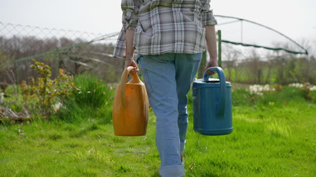 SLO MO Rear View of Young Woman Gardener Picking Up Watering Cans and Walking Towards Garden on Sunny Day