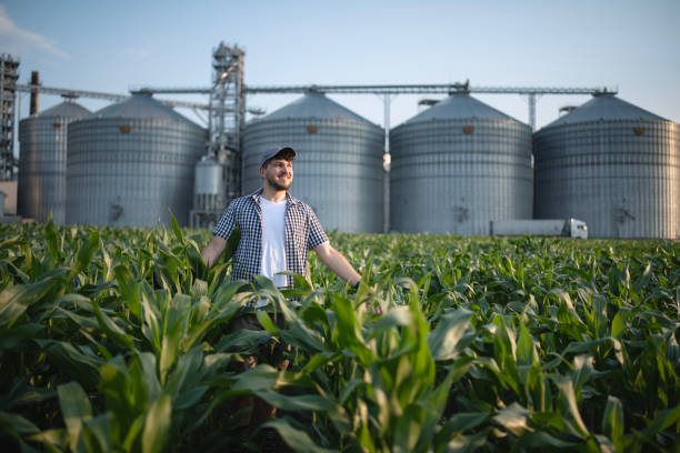 istock Seeing my grown corn crops is my biggest reward. 2136632081