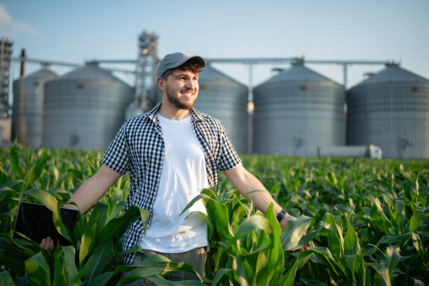 istock Seeing my grown corn crops is my biggest reward. 2136632087