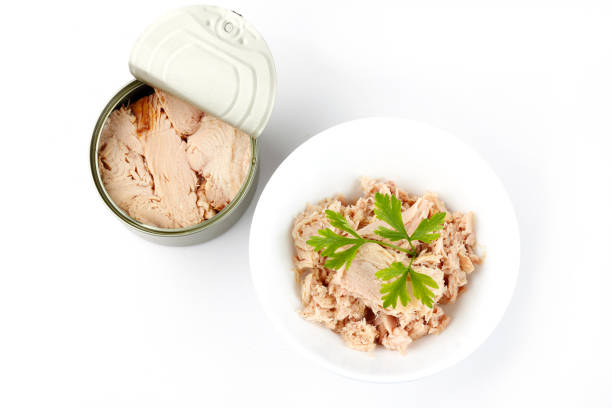 istock canned tuna in ceramic bowl isolated on white background top view 2136756027