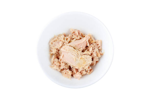 istock canned tuna in ceramic bowl isolated on white background top view 2136756033