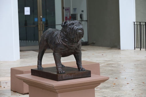 12-20-2023: San Mateo, California: College of San Mateo,bull dog sculpture