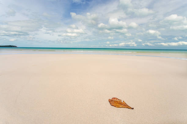 Paradise at chaweng Beach, Koh Samui, Thailand.