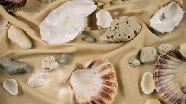 Imitation of the seabed. Oyster and scallop shells, sea pebbles on sand-colored fabric underwater. Ripples on the surface of clear water.