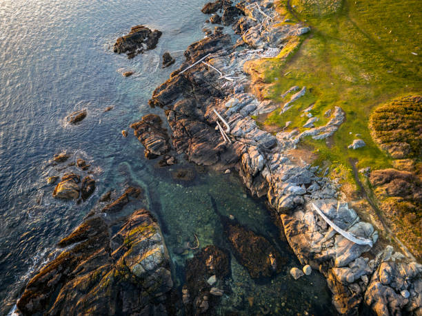 Drone Image of Harling point located along southern Vancouver Island.